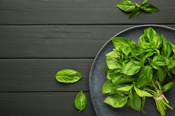 Green basil herb on dark plate on black background. Space for text