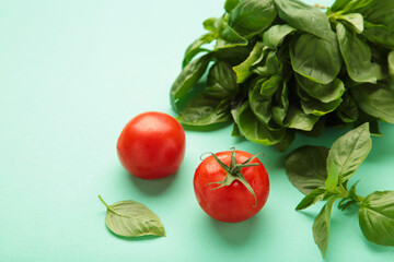Cherry tomatoes and green basil on mint background