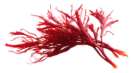 Saffron Threads - A delicate arrangement of saffron threads on transparent background

