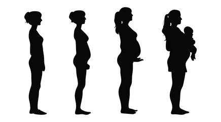 Woman's Pregnancy Journey Silhouette Progression