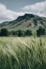 serene organic farm landscape with lush green fields and healthy crops showcasing sustainable farming practices