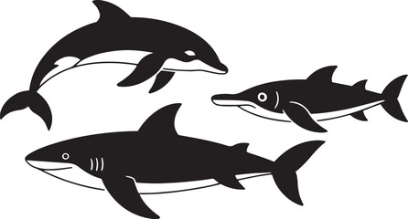 dolphin, marine, ocean, sea, aquatic, mammal, animal, nature, wildlife, swimming, creature, flipper, fin, tail, playful	