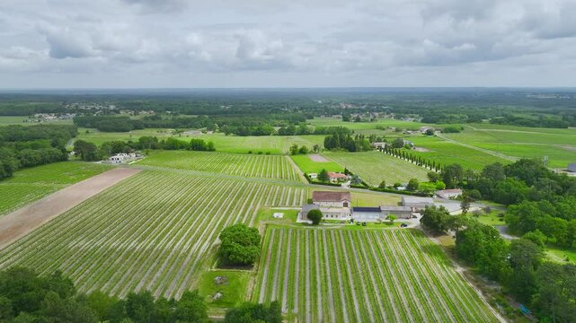 Vineyards and grape fields around Bordeaux from a drone, Saint-Mariens, Gironde, Nouvelle-Aquitaine, France, Europe