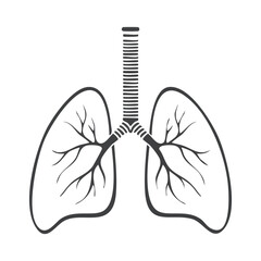 Lungs flat line icon. Vector thin pictogram of human internal organ, outline illustration.