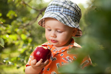 Boy in panama with red ripe apple.