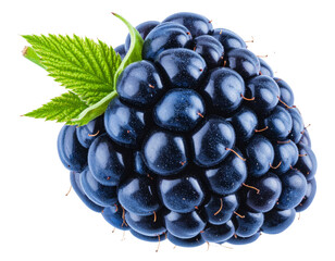 Blue Raspberry with Green Leaf, Clipping Path Included png