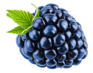 Blue Raspberry with Green Leaf, Clipping Path Included png