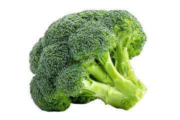 Close-up of a fresh broccoli head, vibrant green, isolated on black