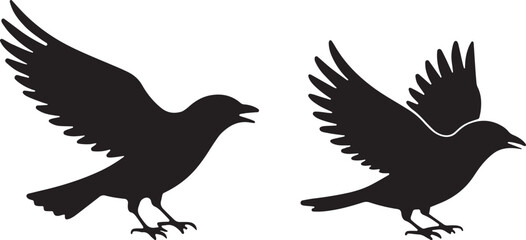 bird, sparrow, robin, eagle, hawk, pigeon, dove, flamingo, parrot, peacock, canary, stork, crow, raven, finch,