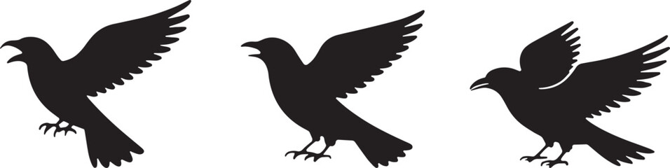 bird, sparrow, robin, eagle, hawk, pigeon, dove, flamingo, parrot, peacock, canary, stork, crow, raven, finch,