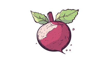 Fresh Beetroot with Leaf on Top - Sugar Beet Vegetable