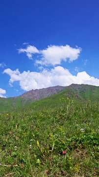 Green Kyrgyzstan Mountain foothill pasture Landscape Featuring Vibrant Greenery Enhanced by Bright Blue Skies