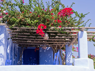 Wooden pergola with vibrant red bougainvillea flowers against white walls and blue door in Greek style. Koufonisia Islands, Cyclades, Greece