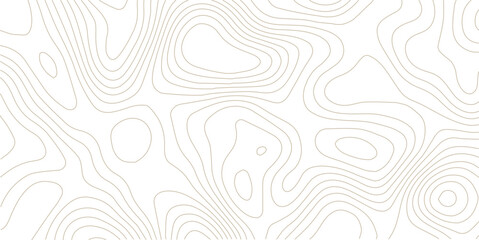 White Topographic Map Vector Background 