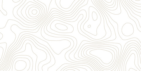 White Topographic Map Vector Background 