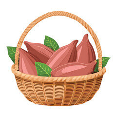 Fototapeta premium Purple Sweet Potatoes with Green Leaves - Vector Illustration