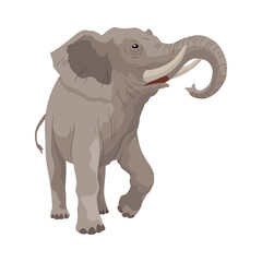 Flat vector elephant in poses African of Asian animal with large ears and long trunk. Wildlife theme