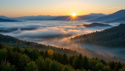 Serene Mountain Sunrise Over Foggy Forest