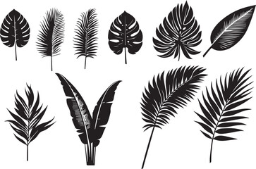 tropical leaves silhouette vector background	
