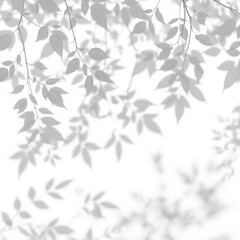 shadow overlay effect. Gray shadow of leaves isolated on white background. Plant foliage leaf shadow light effect. Mockup Blurred tree branch shadow. Ideal for summer spring design elements PNG