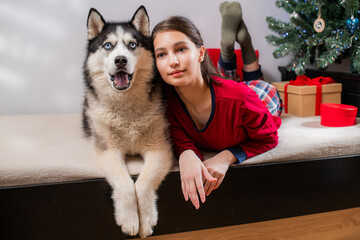 smiling girl and husky dog lie on bed. Christmas holiday celebration