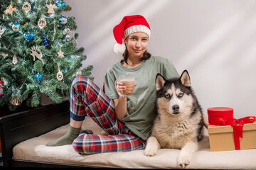 woman in pajama and santa hat sitting with a husky dog near christmas tree, drinking hot chocolate