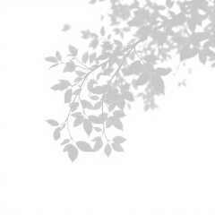 shadow overlay effect. Gray shadow of leaves isolated on white background. Plant foliage leaf shadow light effect. Mockup Blurred tree branch shadow. Ideal for summer spring design elements PNG