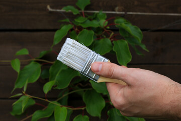 Construction brush with white paint on a wooden background. There are green leaves of plants on the...