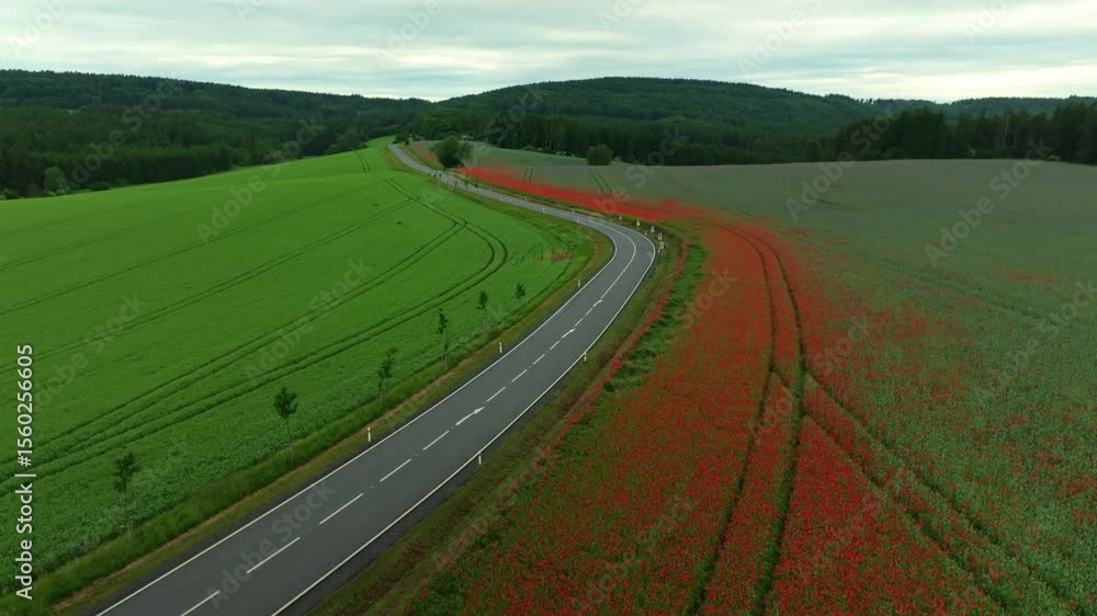 Poster drone view of a road winding through fields dotted with red poppies, surrounded by forests and lush 