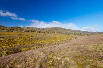 Ronny Creek at Cradle Mountain in Tasmania Australia