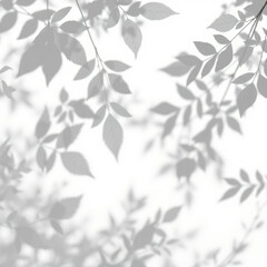 shadow overlay effect. Gray shadow of leaves isolated on white background. Plant foliage leaf shadow light effect. Mockup Blurred tree branch shadow. Ideal for summer spring design elements PNG