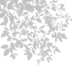 shadow overlay effect. Gray shadow of leaves isolated on white background. Plant foliage leaf shadow light effect. Mockup Blurred tree branch shadow. Ideal for summer spring design elements PNG
