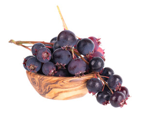 Serviceberry isolated on white background. Saskatoon, amelanchier, shadbush, juneberry, irga or...