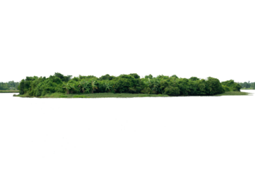 Isolated Tropical Island with Dense Green Forest  Transparent PNG for Landscape and Nature Design