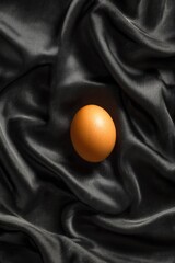 A single brown egg nestled on dark drapes