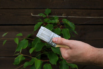 Construction brush with white paint on a wooden background. There are green leaves of plants on the...