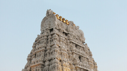 Intricate carvings on the tower of Kamakshi Temple, Kanchipuram, Tamil Nadu, India | Sri Kanchi...
