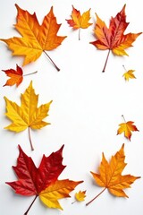 Fototapeta premium Group of oak leaves, various autumn hues, white backdrop , collection, harvest, isolated