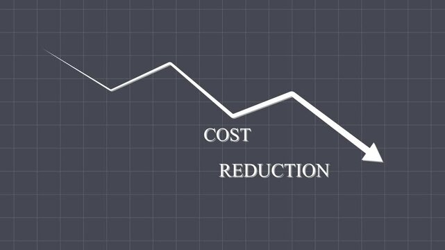 Cost Reduction concept Animation Showing Corporate Efficiency in Saving Expenses and Optimizing Company Resources  on a grid  and white background 
