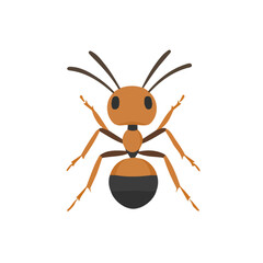 Ant, flat style 2D vector image, isolated on a white background