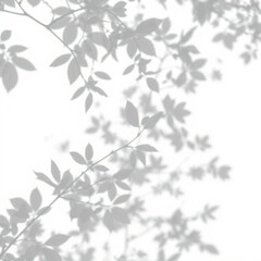 shadow overlay effect. Gray shadow of leaves isolated on white background. Plant foliage leaf shadow light effect. Mockup Blurred tree branch shadow. Ideal for summer spring design elements PNG