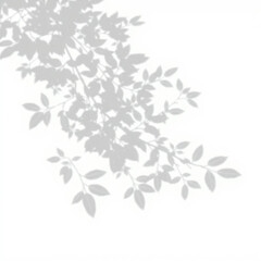 shadow overlay effect. Gray shadow of leaves isolated on white background. Plant foliage leaf shadow light effect. Mockup Blurred tree branch shadow. Ideal for summer spring design elements PNG