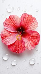 Hibiscus flower on white background surrounded by mist and floating droplets, highspeed capture with backlight to freeze movement