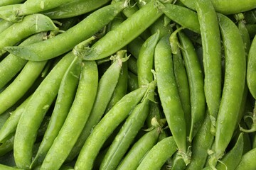 Fresh green pea pods as background, top view
