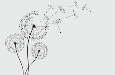 Vector illustration dandelion seed blowing in the wind.