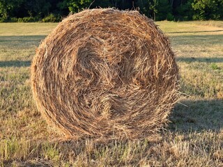 bales of hay