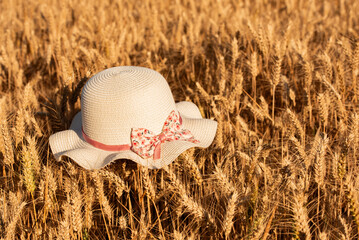 A delicate straw hat sits amidst tall wheat stalks, capturing the essence of peaceful rural life...