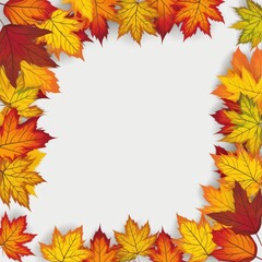 Autumn leaves frame on white (3)