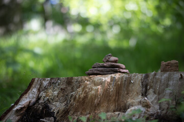 Cairn rock sculpture on a tree stump