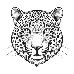 Fototapeta premium leopard vector illustration